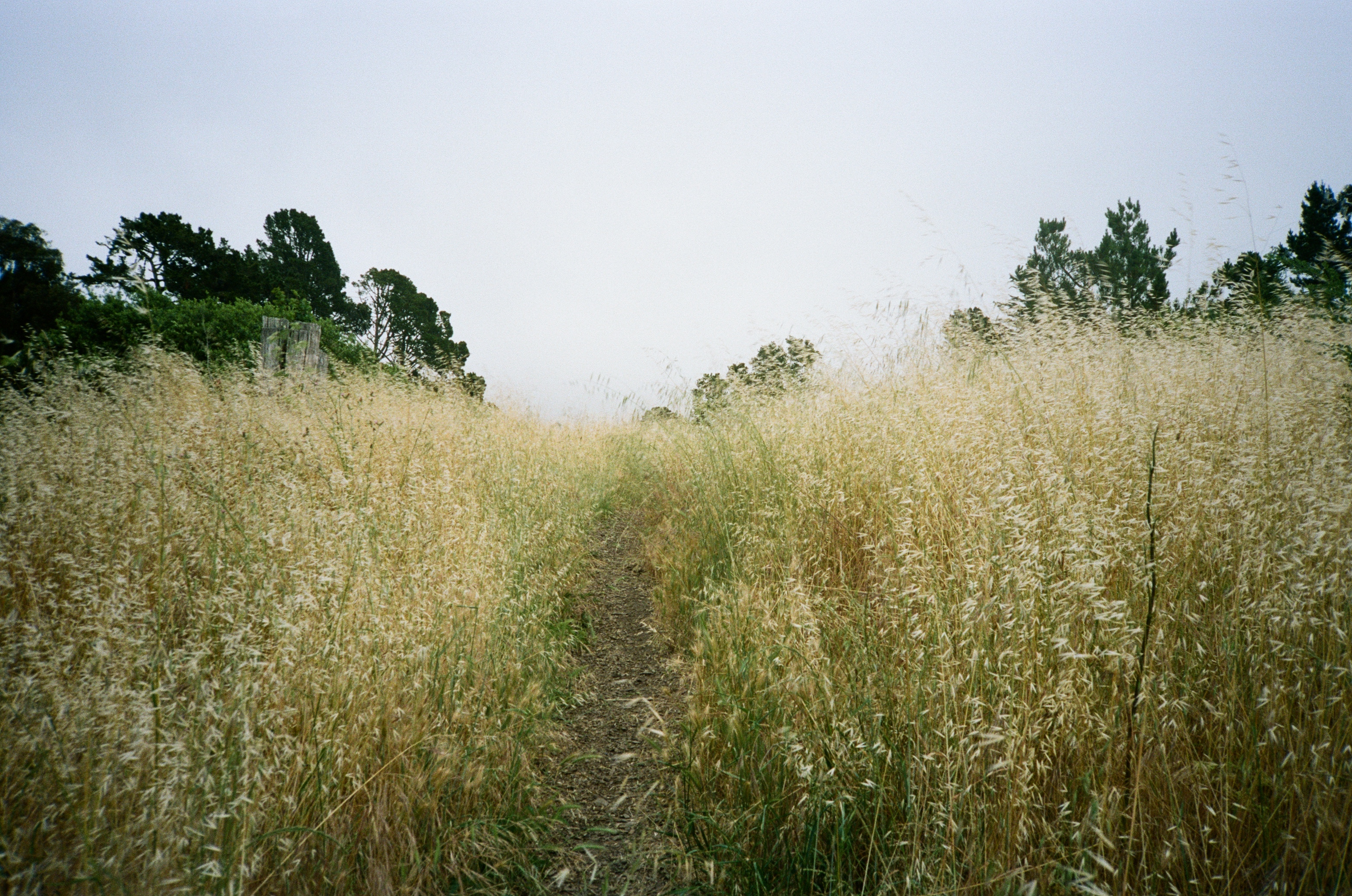 Photo 2 from Berkeley