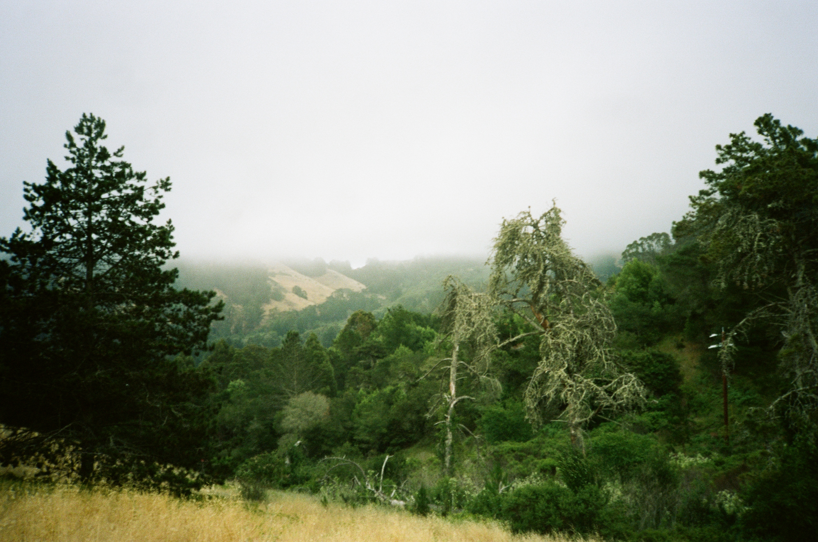 Photo 3 from Berkeley